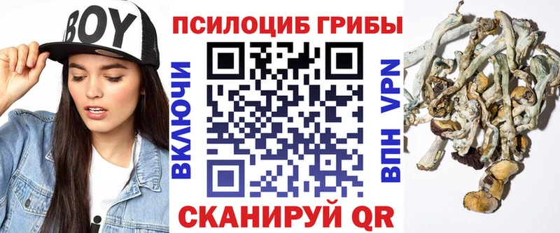 Галлюциногенные грибы Psilocybine cubensis  где найти наркотики  Ивангород 